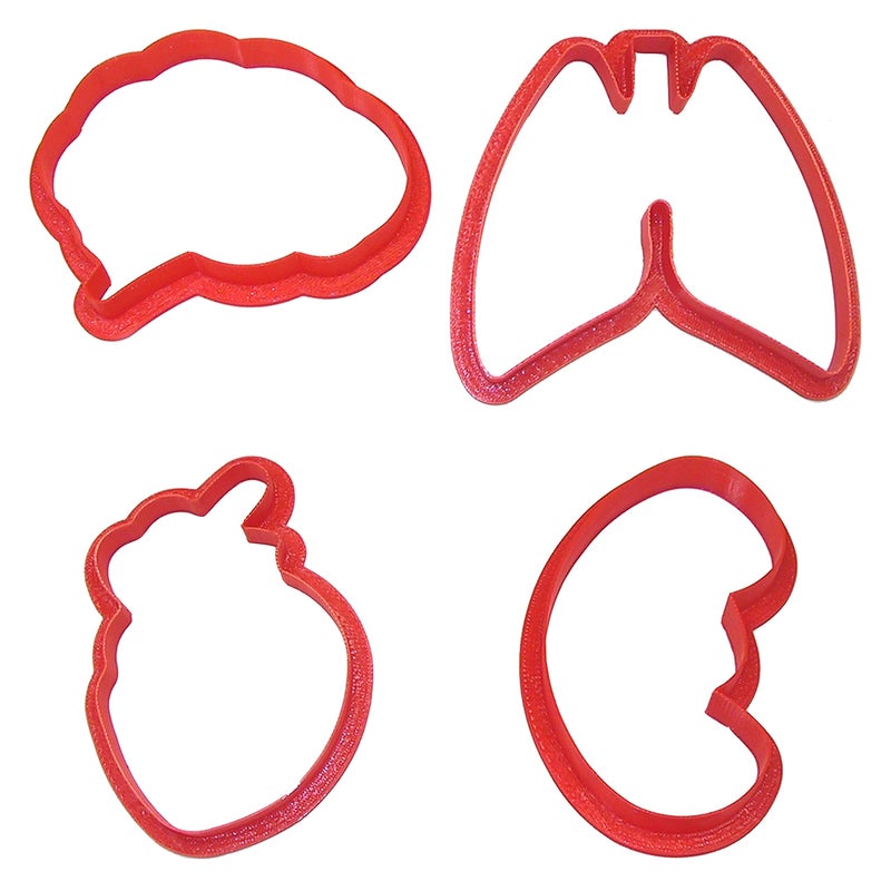 CookieCutter.com Anatomical Body Parts Cookie Cutter 4 Pc Set â€“ Kidney, Heart, Lungs, Brain Plastic Cookie Cutters, Made in USA - Image 3